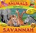 Discover the World of Animals: Savannah