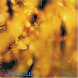 Review Steamhammer  / Reflection