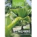 Les palmiers : Choisir, installer, cultiver