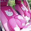 Zebra print car seat