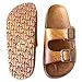 Pali Hawaii Buckle Jandal Brown Sandals