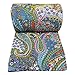 Kantha Stitch Gudri Floral Home Décor Pattern Blue Queen Size Handmade Quilt 107 X 92