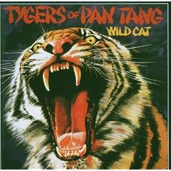 Wild Cat