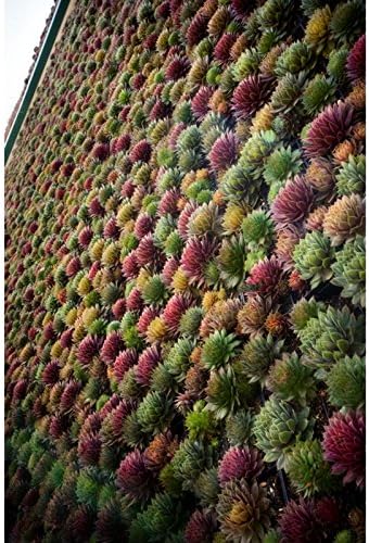 GroVert MC Living Wall Planter