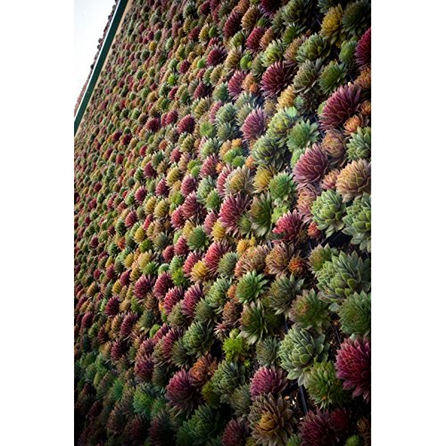 GroVert MC Living Wall Planter