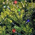 Solar String Lights - 50 LED Multicolor
