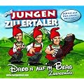 Drobn Aufm Berg (Album Version)