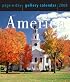 America Page-A-Day Gallery Calendar 2008