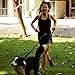 Hands Free Double Dog Leash - Black. Including Led Light. For Walking, Running, Biking and Jogging
