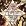 Songs of Angels: Christmas Hymns & Carols