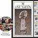 One Nation-Photo Collage Jigsaw Puzzle 550pc