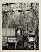 1930 Japanese Garden Glycinias Flowers Kameido Tokyo - Original Photogravure