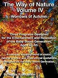 Wonders of Autumn