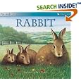 The Rabbit (Animal Lives) by Sally Tagholm and Bert Kitchen