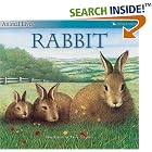 Click here to buy The Rabbit (Animal Lives) by  Sally Tagholm and Bert Kitchen.