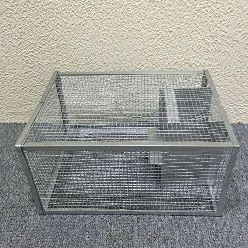 Trapper -Rat Trap - One-Door Live Cage trap for Squirrel, Chipmunk, Rat, and Weasel (Medium)