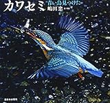 カワセミ―青い鳥見つけた (日本の野鳥)