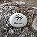 Harmony Kanji Symbol Engraved Stone, Inspirational Sandblast, Perfect Gorgeous Unique Gift Ideas, Natural Beach Pebble Rock