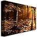 Morning Light by Philippe Sainte-Laudy, 30x47-Inch Canvas Wall Art