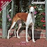 2009 Greyhound Wall Calendar