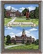 Howard Univ Collage Throw - 70 x 54 Blanket/Throw - Howard Bison