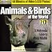 Software : Animals & Birds of the World (2 CD-ROM for Windows)