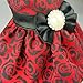 Fitwarm® Elegant Rose Bowknot Belt Dog Dress for Pet Cat Coat Vest Clothes, Medium
