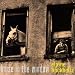 Horse in the Window
