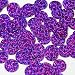 Round Flat Sequin 15mm Top Hole Amethyst Purple Hologram Glitter Sparkle. Couture Paillettes. Made in USA