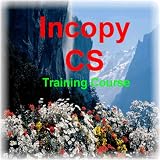Incopy CS Training Course