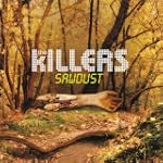 2003-2007 Sawdust B-Sides An