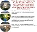 Book The Fantastic How To Earn Extra Money, Success Principles and eCommerce for Mountain Bikes Biz 3 CD Package