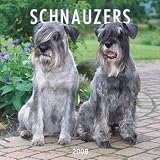 Schnauzers (International) 2008 Square Wall