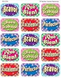 Teacher Created Resources Good Work (Spanish) 90 Jumbo Stickers, Multi Color (5734)