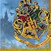 Baby Shower Party Supplies - Lunch Napkins - Harry Potter, 1