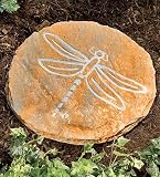 Dragonfly Slate