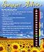 Baby/Child Room Thermometer for Summer Heat Advice Keeping Cool. Also great for the home/office ...