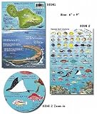 Maui Hawaii Reef Fish and Creature Guide