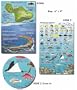 Molokai Hawaii Reef Fish and Creature Guide