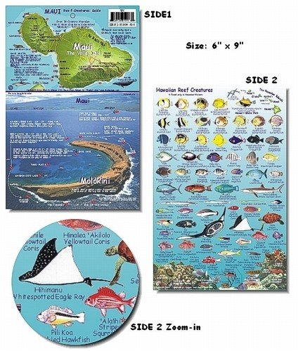 Molokai Hawaii Reef Fish and Creature Guide