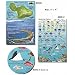 Maui Hawaii Reef Fish and Creature Guide