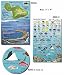 Molokai Hawaii Reef Fish and Creature Guide