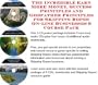 The Best How To Earn Extra Money, Marketing and Success Principles for Skipping Ropes On-line Biz Package (3 CDs)