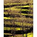 Amalfi Hills Wall Art - 11x14"