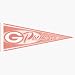 5 Green Bay Packers Pink NFL Wholesale Team Pennants
