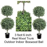 1 lot of 2 Artificial Outdoor Indoor 3 foot 6 inch Boxwood Ball Topiary Trees, potted in nursery pot, real wood trunk, packed with peanuts
