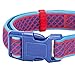 Blueberry Pet Collars For Dogs 3/4