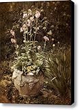 Vintage Planter Canvas Print / Canvas Art - Artist Jessica Jenney