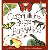 Caterpillars, Bugs and Butterflies (Take Along Guides)