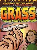Grass